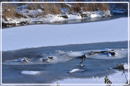 a201221_12.jpg