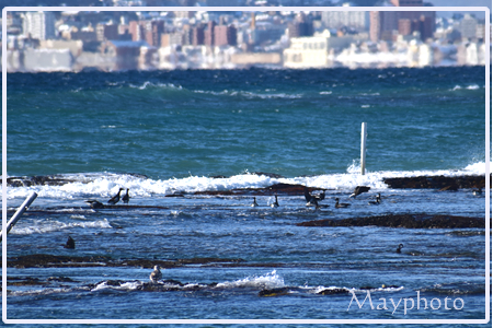 a201221_8.jpg