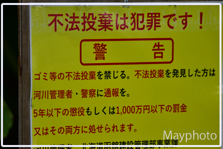 a220725_11.jpg