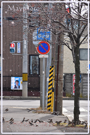b200203_6.jpg