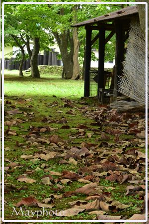 b201005_1.jpg